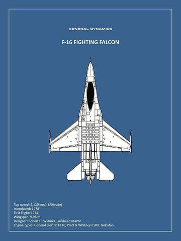 BP F-16 Fighting Falcon  Black Ornate Wood Framed Art Print with Double Matting by Rogan, Mark