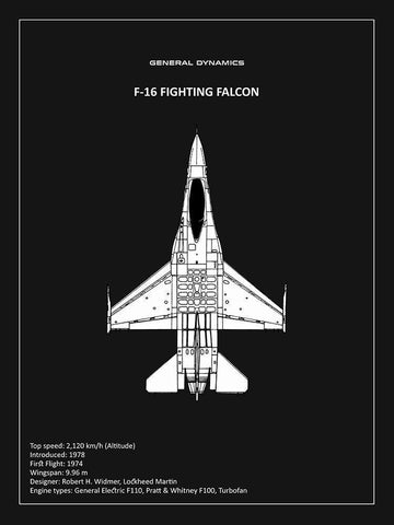 BP F-16 Fighting Falcon Black  Black Ornate Wood Framed Art Print with Double Matting by Rogan, Mark