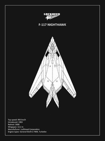 BP Lockheed F22 Raptor Black  White Modern Wood Framed Art Print with Double Matting by Rogan, Mark