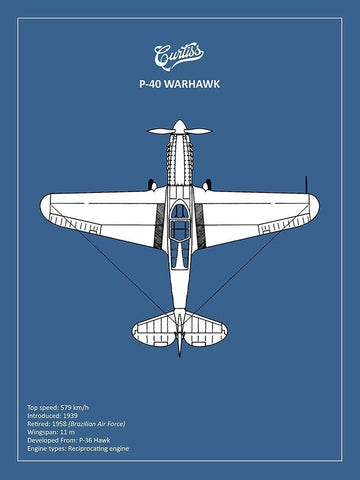 BP P-40 Warhawk  White Modern Wood Framed Art Print with Double Matting by Rogan, Mark