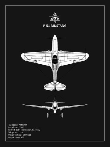 BP P-51 Mustang Black  White Modern Wood Framed Art Print with Double Matting by Rogan, Mark