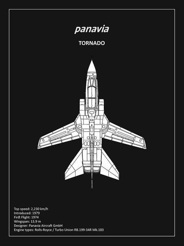 BP Panavia Tornado Black  Black Ornate Wood Framed Art Print with Double Matting by Rogan, Mark