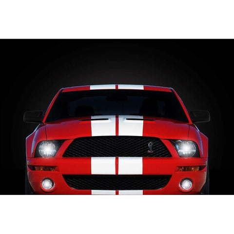 Shelby Mustang GT500 Black Modern Wood Framed Art Print with Double Matting by Rogan, Mark