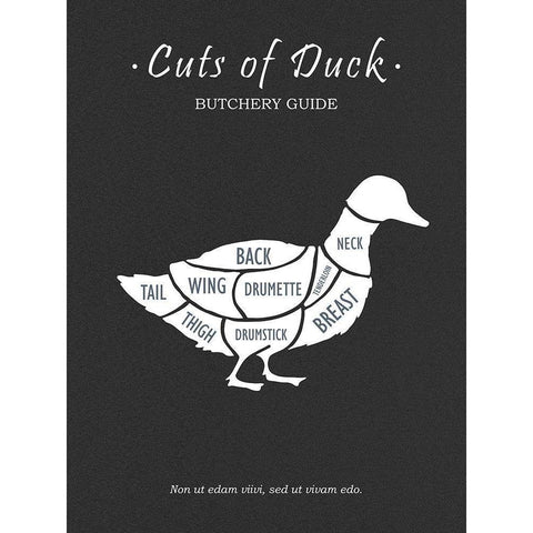 Butchery Duck White Modern Wood Framed Art Print by Rogan, Mark