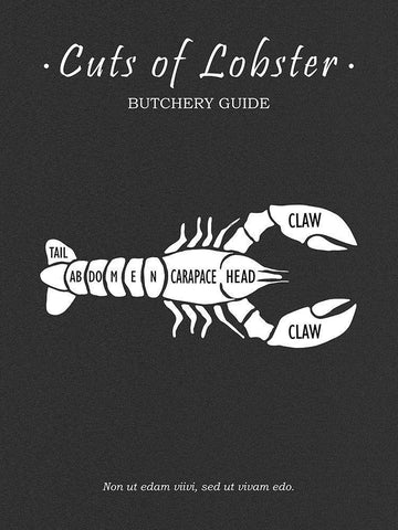 Butchery Lobster White Modern Wood Framed Art Print with Double Matting by Rogan, Mark