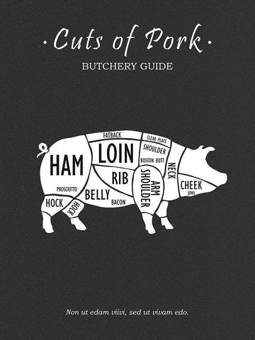 Butchery Pork White Modern Wood Framed Art Print with Double Matting by Rogan, Mark