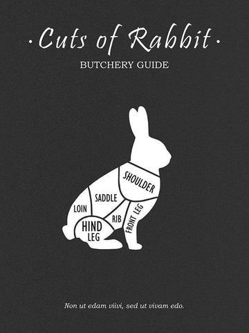 Butchery Rabit White Modern Wood Framed Art Print with Double Matting by Rogan, Mark