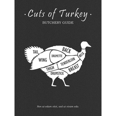 Butchery Turkey Black Modern Wood Framed Art Print with Double Matting by Rogan, Mark