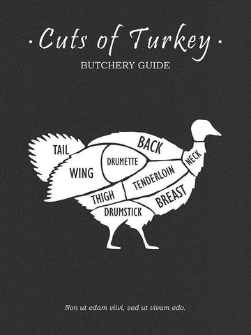 Butchery Turkey White Modern Wood Framed Art Print with Double Matting by Rogan, Mark