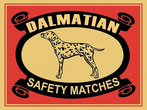 Dalmatian Safety Matches White Modern Wood Framed Art Print with Double Matting by Rogan, Mark