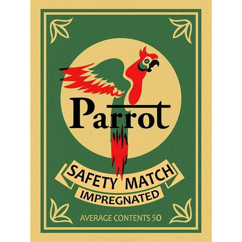 Parrot Safety Matches Black Modern Wood Framed Art Print with Double Matting by Rogan, Mark