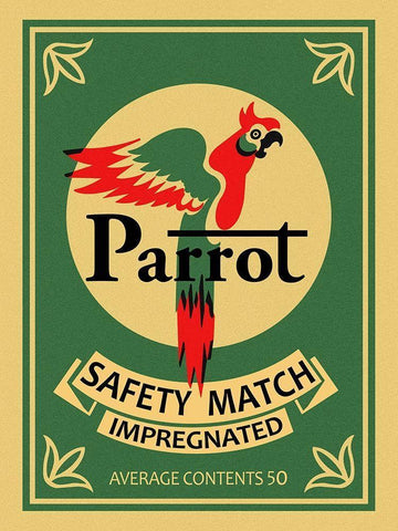 Parrot Safety Matches White Modern Wood Framed Art Print with Double Matting by Rogan, Mark