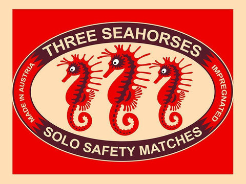 Three Seahorses White Modern Wood Framed Art Print with Double Matting by Rogan, Mark