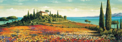 Afternoon Light White Modern Wood Framed Art Print with Double Matting by Leblanc, Richard