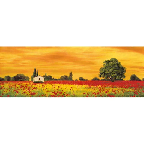 Field of Poppies Black Modern Wood Framed Art Print with Double Matting by Leblanc, Richard