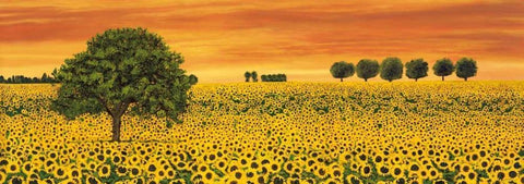 Field of Sunflowers White Modern Wood Framed Art Print with Double Matting by Leblanc, Richard