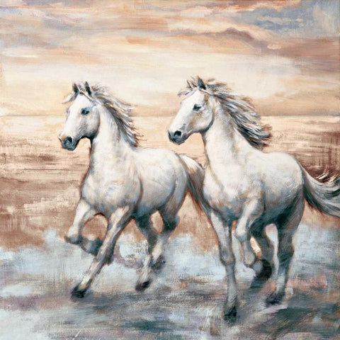 Running Horses I White Modern Wood Framed Art Print with Double Matting by Steele, Ralph