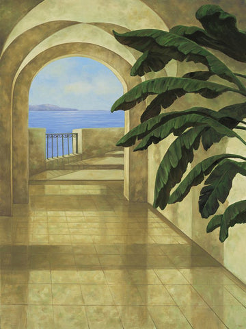 Ocean Villa II Black Ornate Wood Framed Art Print with Double Matting by Blanco, Samuel