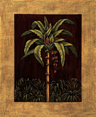 Tropical Paradise II Black Ornate Wood Framed Art Print with Double Matting by Blanco, Samuel