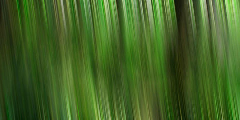 Tree motion White Modern Wood Framed Art Print with Double Matting by Plank, Savanah