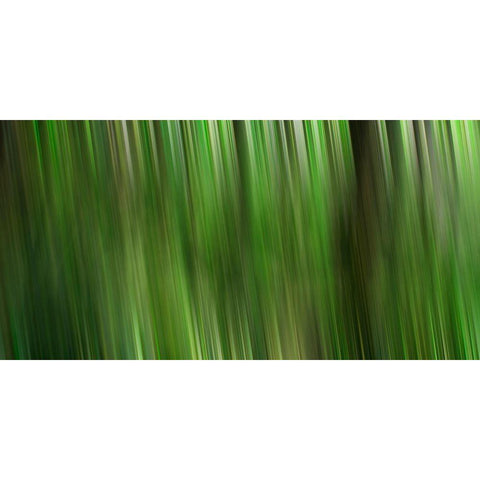 Tree motion Black Modern Wood Framed Art Print by Plank, Savanah
