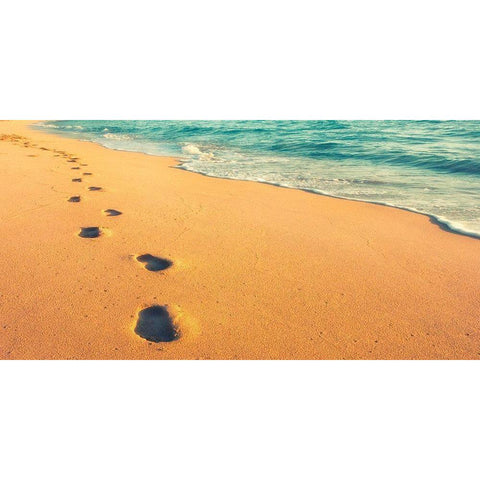 USA, Hawaii, Kauai, Kapaa, be Black Modern Wood Framed Art Print with Double Matting by Plank, Savanah