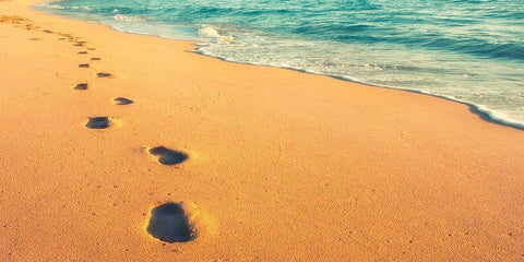 USA, Hawaii, Kauai, Kapaa, be Black Ornate Wood Framed Art Print with Double Matting by Plank, Savanah