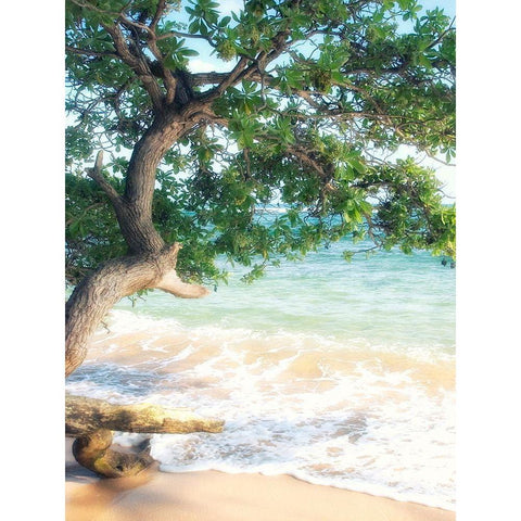USA, Hawaii, Kauai Gold Ornate Wood Framed Art Print with Double Matting by Plank, Savanah