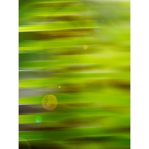 Abstract green flora Black Modern Wood Framed Art Print by Plank, Savanah