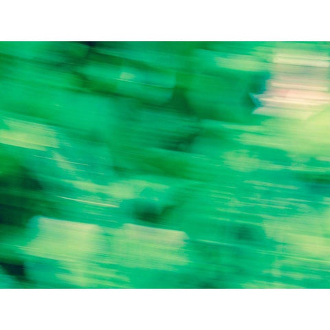 Flora Motion Gold Ornate Wood Framed Art Print with Double Matting by Plank, Savanah