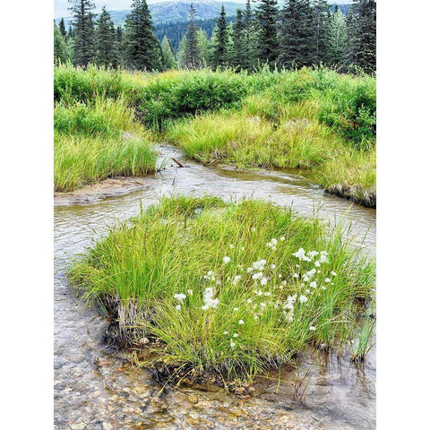 Alaska marshland Black Modern Wood Framed Art Print with Double Matting by Plank, Savanah