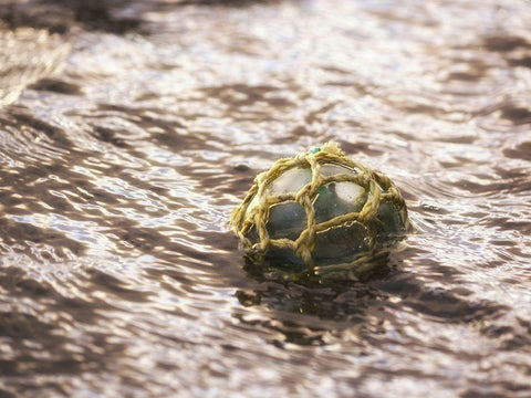 Vintage glass float White Modern Wood Framed Art Print with Double Matting by Plank, Savanah