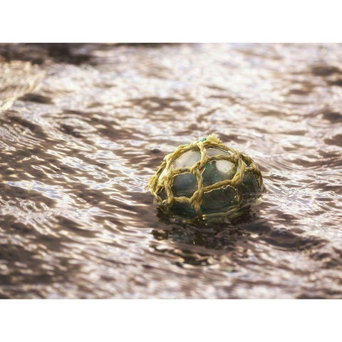 Vintage glass float Black Modern Wood Framed Art Print with Double Matting by Plank, Savanah