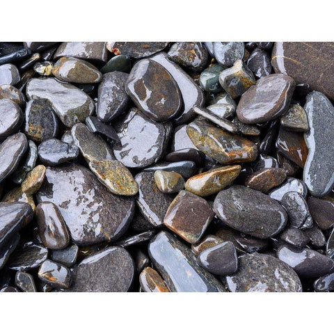 Beach rock detail Black Modern Wood Framed Art Print by Plank, Savanah