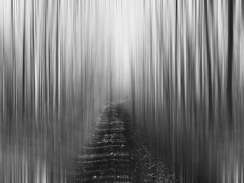 Path White Modern Wood Framed Art Print with Double Matting by Plank, Savanah