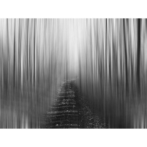 Path Black Modern Wood Framed Art Print by Plank, Savanah