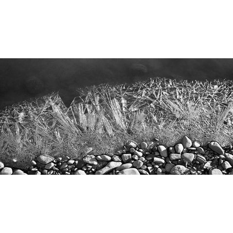 Frozen Rivers Edge White Modern Wood Framed Art Print by Plank, Savanah