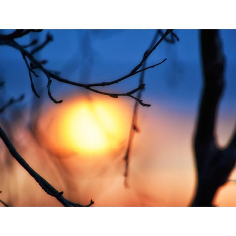 Abstract Sunset Black Modern Wood Framed Art Print by Plank, Savanah