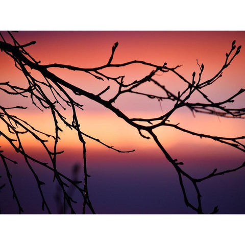 Abstract Sunset Black Modern Wood Framed Art Print by Plank, Savanah
