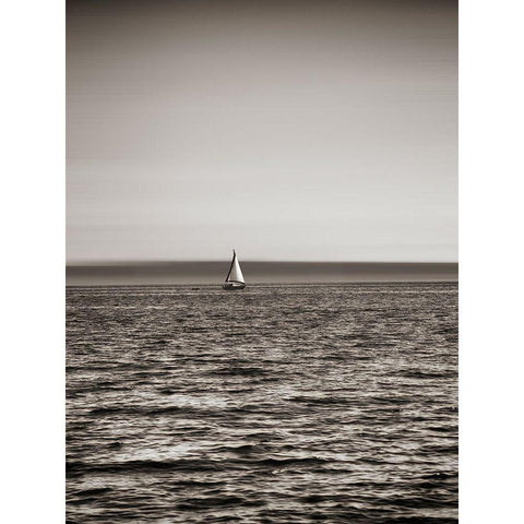 USA, Seattle, sailboat in Elli Black Modern Wood Framed Art Print with Double Matting by Plank, Savanah
