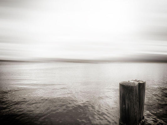 Image Only