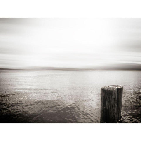 USA, Seattle, view from Alki b Gold Ornate Wood Framed Art Print with Double Matting by Plank, Savanah