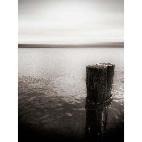 USA, Seattle, view from Alki b White Modern Wood Framed Art Print by Plank, Savanah