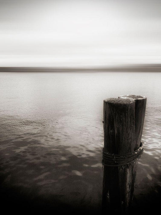 Image Only
