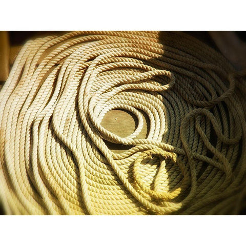 Boat line coiled White Modern Wood Framed Art Print by Plank, Savanah