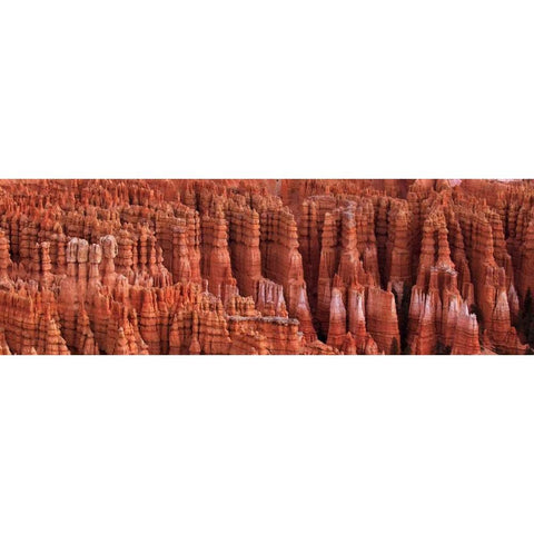 Bryce Canyon Utah White Modern Wood Framed Art Print by Bennion, Scott