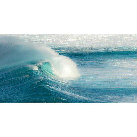 Jaws - Maui White Modern Wood Framed Art Print by Bennion, Scott