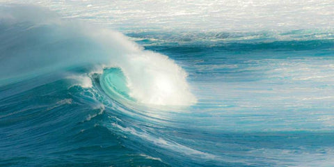 Jaws - Maui Black Ornate Wood Framed Art Print with Double Matting by Bennion, Scott