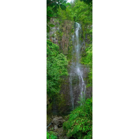 Maui Waterfall White Modern Wood Framed Art Print by Bennion, Scott