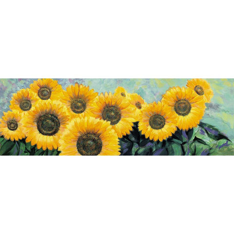 Fiori di Girasole White Modern Wood Framed Art Print by Riboli, Stefano